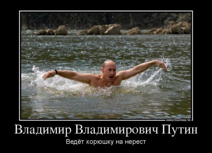 Демотиваторы (40 фото)