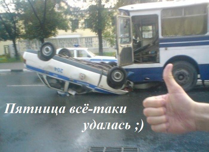 Прикольные картинки (42 фото)