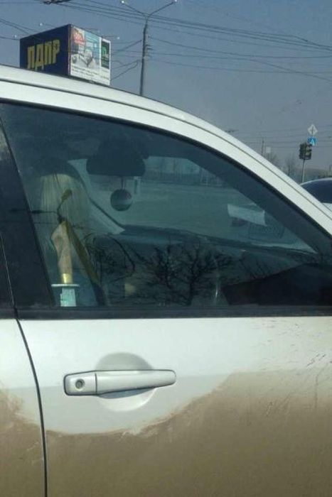 Автоюмор