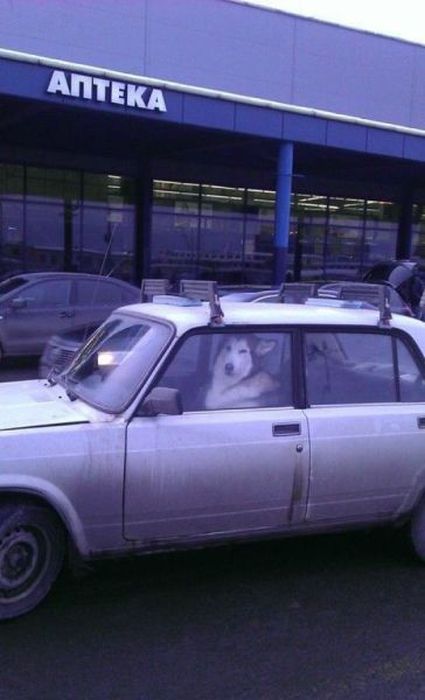 Автоюмор