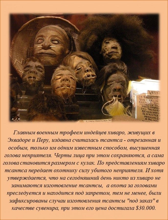 Факты в картинках