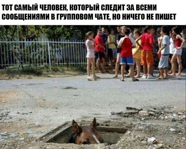 Смешные картинки