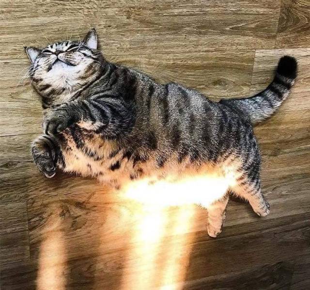 Фото, которые не нуждаются в комментариях