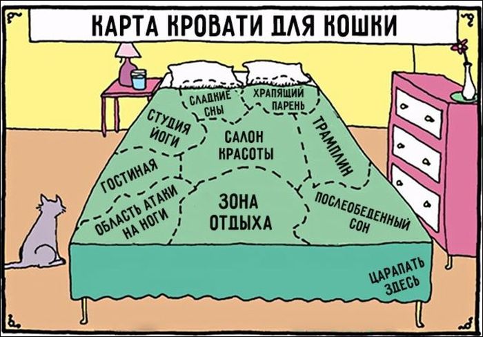 Комиксы