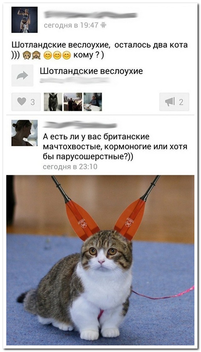 Смешные комментарии из социальных сетей