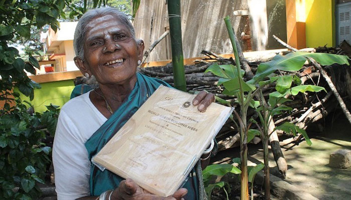 105-летняя женщина, у которой никогда не было детей, стала матерью для 300 деревьев 105-летняя женщина, у которой никогда не было детей, стала матерью для 300 деревьев