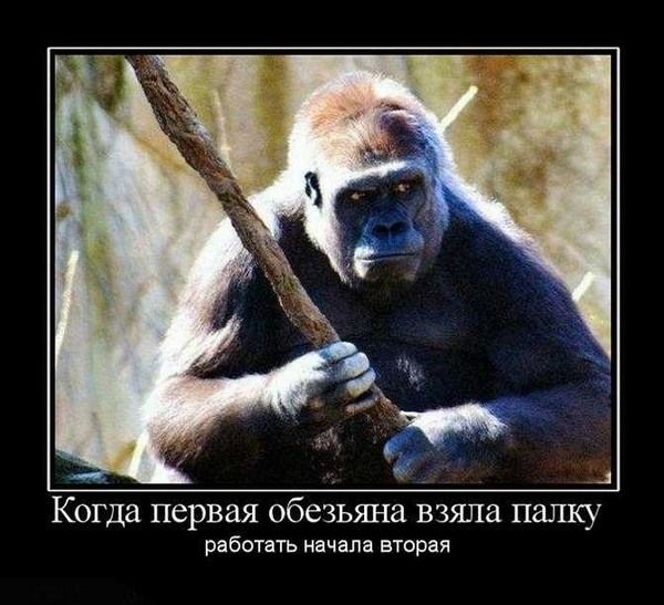 33 ошибки массового поражения 33 ошибки массового поражения