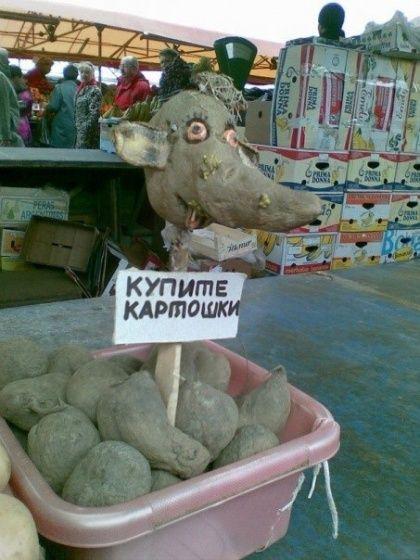 Прикольные картинки