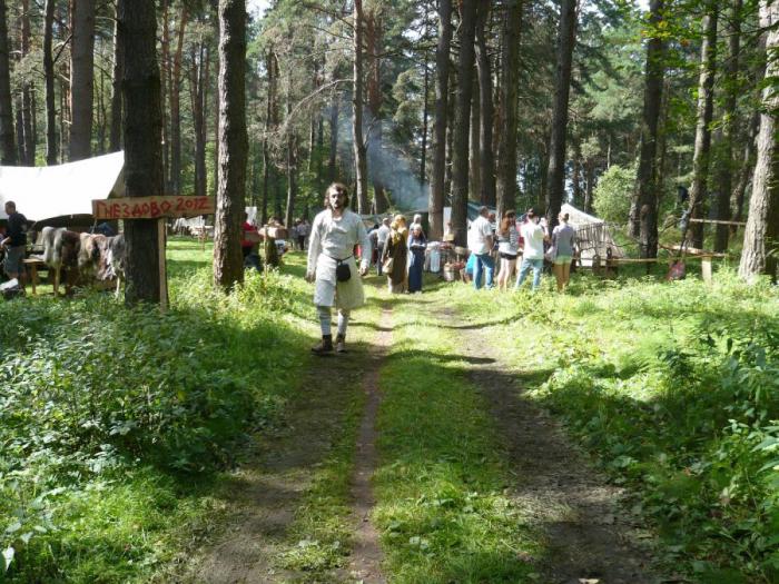 Жизнь и быт викингов