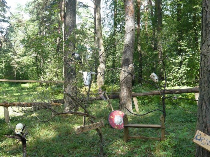 Жизнь и быт викингов