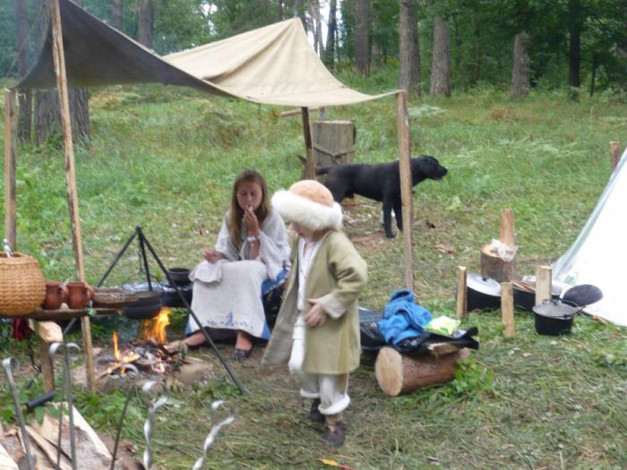 Жизнь и быт викингов