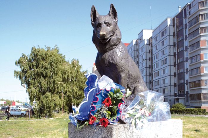 Верный Костик Верный Костик