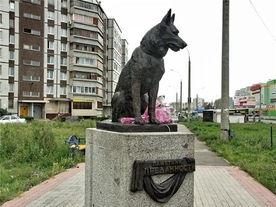 Верный Костик Верный Костик