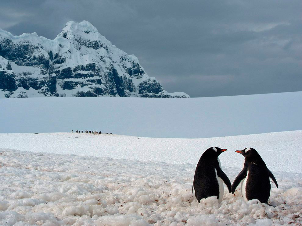 National Geographic: лучшие фотографии декабря National Geographic: лучшие фотографии декабря