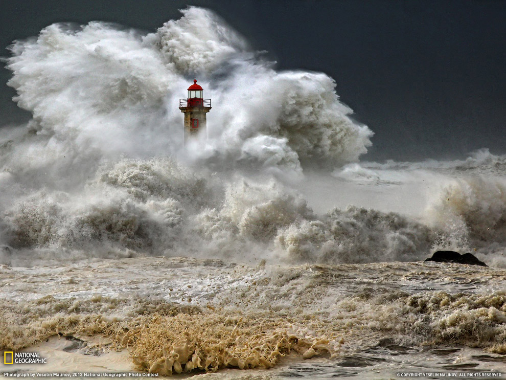National Geographic: лучшие фотографии декабря National Geographic: лучшие фотографии декабря