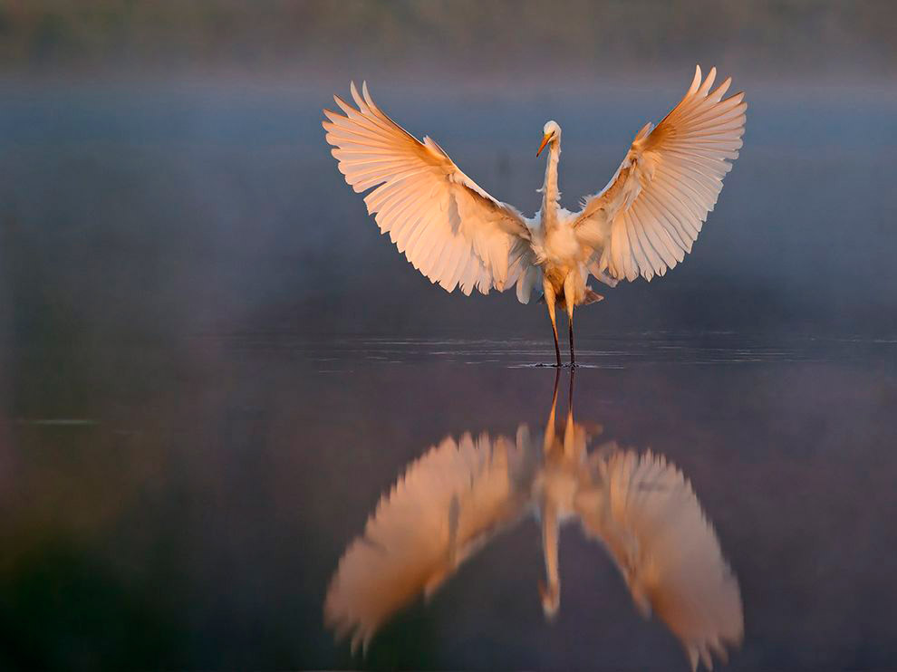 National Geographic: лучшие фотографии декабря National Geographic: лучшие фотографии декабря