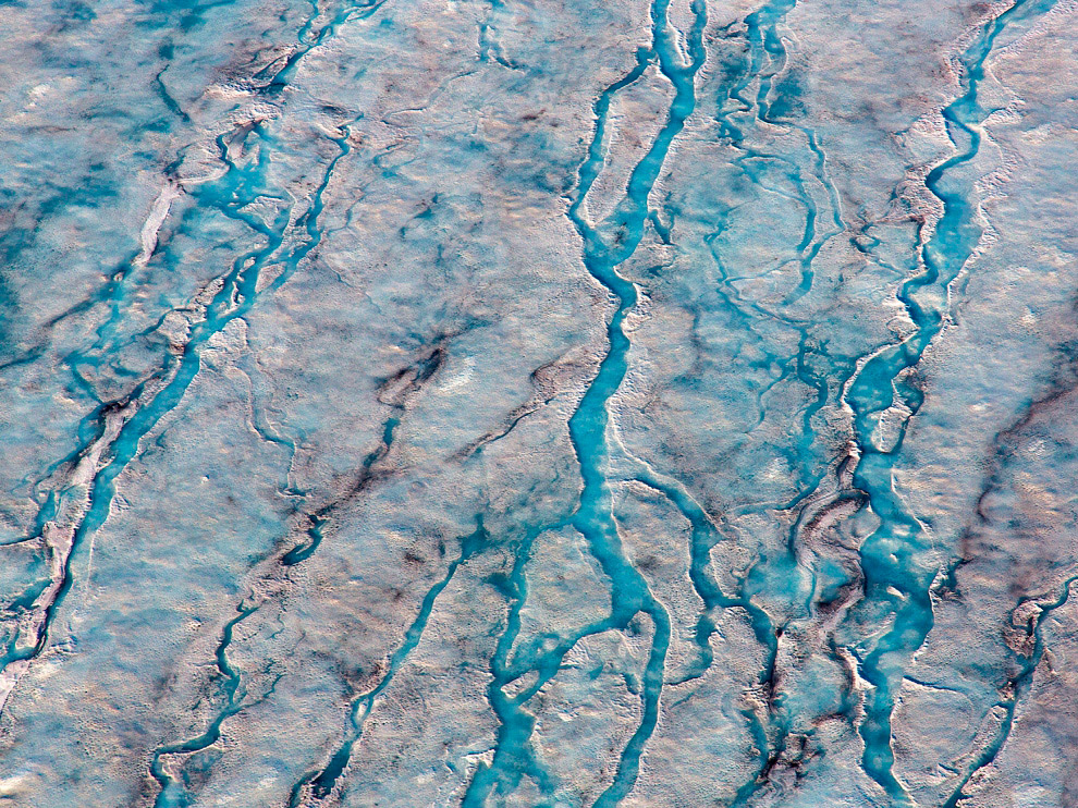 National Geographic: лучшие фотографии декабря National Geographic: лучшие фотографии декабря