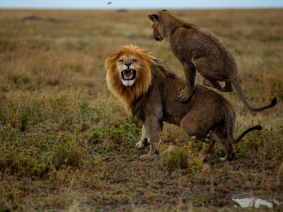 National Geographic: лучшие фотографии декабря National Geographic: лучшие фотографии декабря