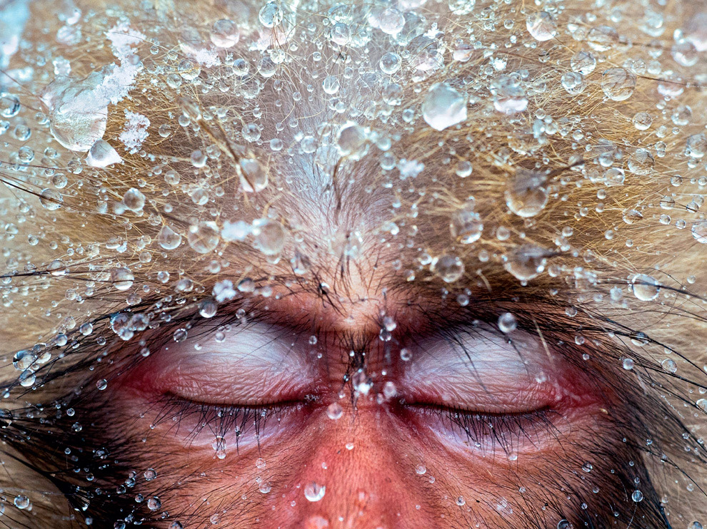 National Geographic: лучшие фотографии декабря National Geographic: лучшие фотографии декабря