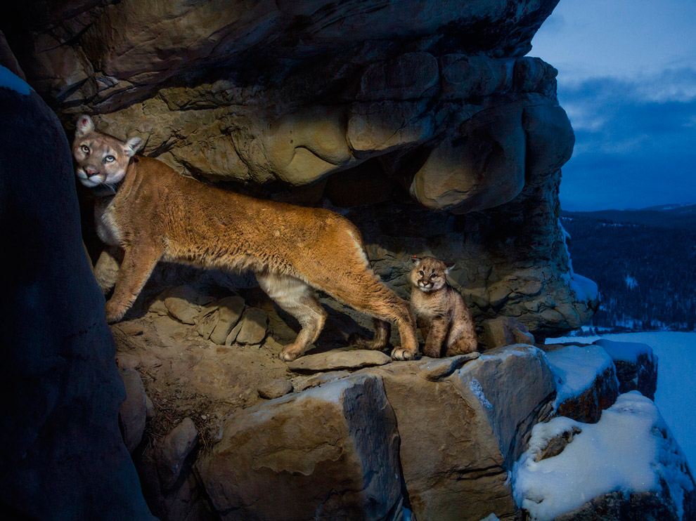 National Geographic: лучшие фотографии декабря National Geographic: лучшие фотографии декабря