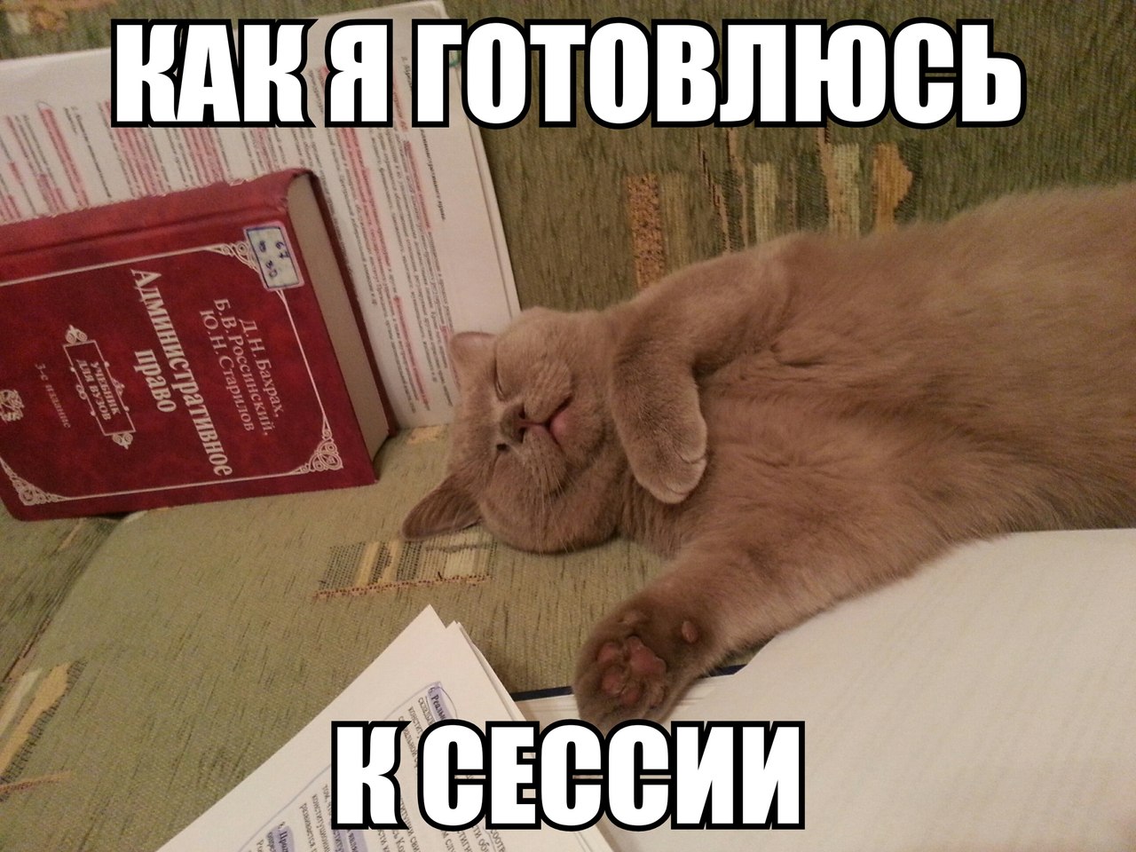«Сессия? Ха! Все сдам!» или несколько советов, которые помогут тебе, студент, сдать сессию без седых волос и остаться в живых после этой гонки за оценками «Сессия? Ха! Все сдам!» или несколько советов, которые помогут тебе, студент, сдать сессию без седых волос и остаться в живых после этой гонки за оценками