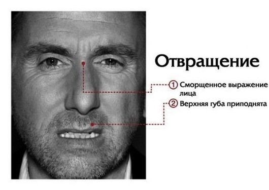 Интересные факты о человеческих эмоциях и инстинктах (8 фото) Интересные факты о человеческих эмоциях и инстинктах (8 фото)