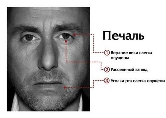 Интересные факты о человеческих эмоциях и инстинктах (8 фото) Интересные факты о человеческих эмоциях и инстинктах (8 фото)