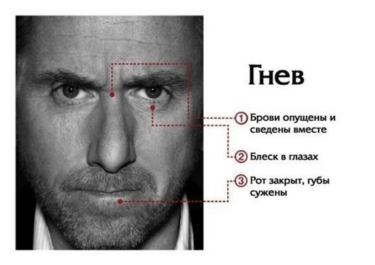Интересные факты о человеческих эмоциях и инстинктах (8 фото) Интересные факты о человеческих эмоциях и инстинктах (8 фото)