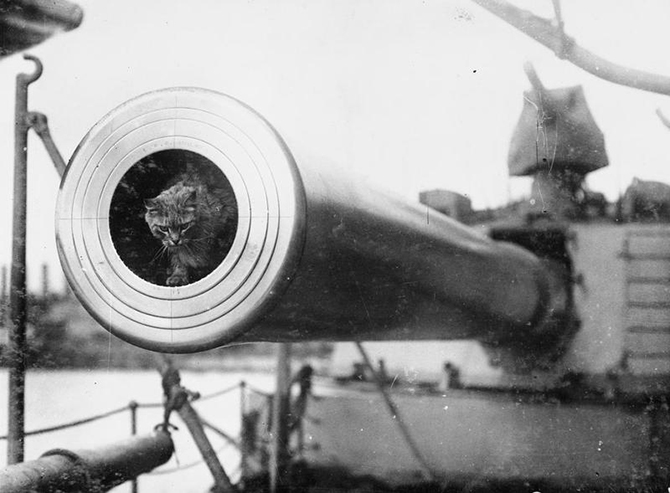 109 лет «Неустрашимому» 109 лет «Неустрашимому»