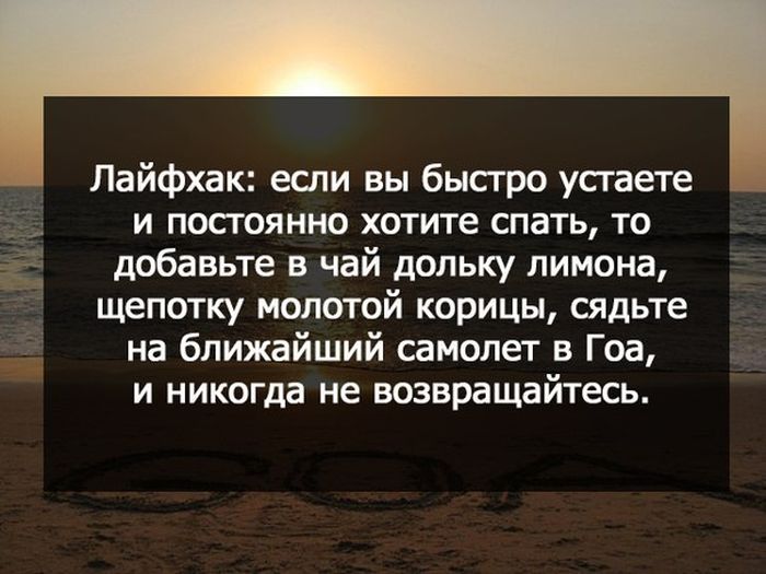 Порция картинок