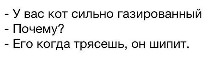 Порция картинок