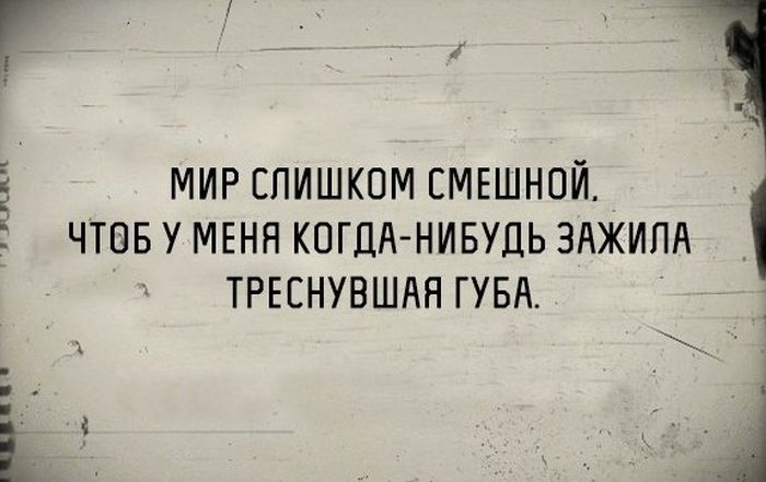 Порция картинок