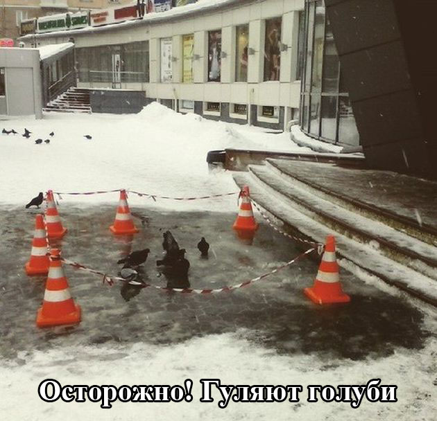 Порция картинок