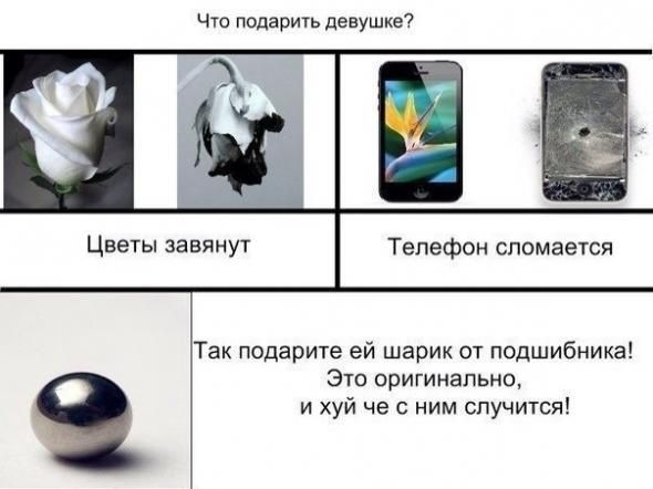 Прикольные картинки (61 фото)