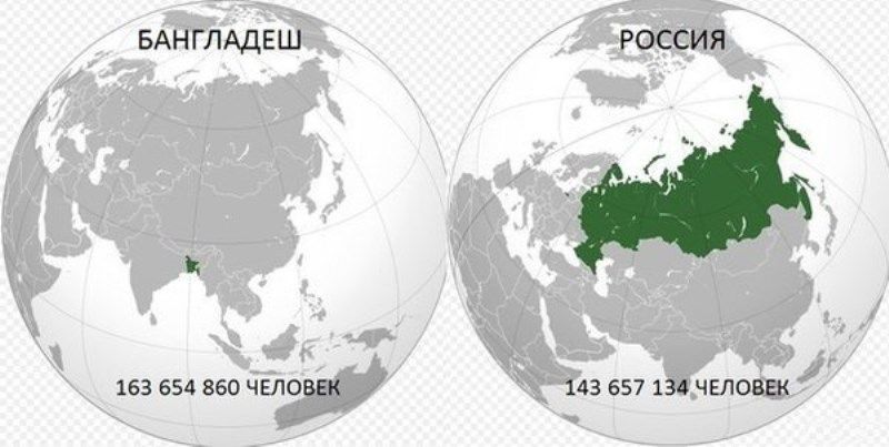 Прикольные картинки (61 фото)