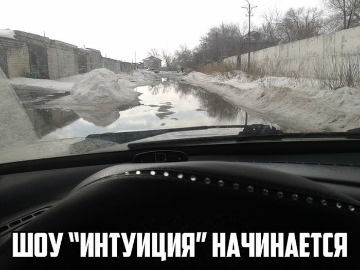 Порция картинок