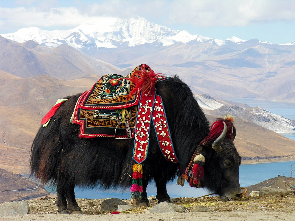 Лучшие фотографии Википедии 2012 Лучшие фотографии Википедии 2012