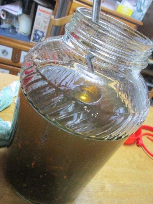 Водка с шядом шершня