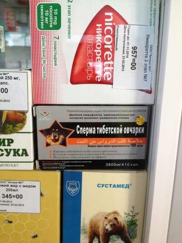 Прикольные картинки