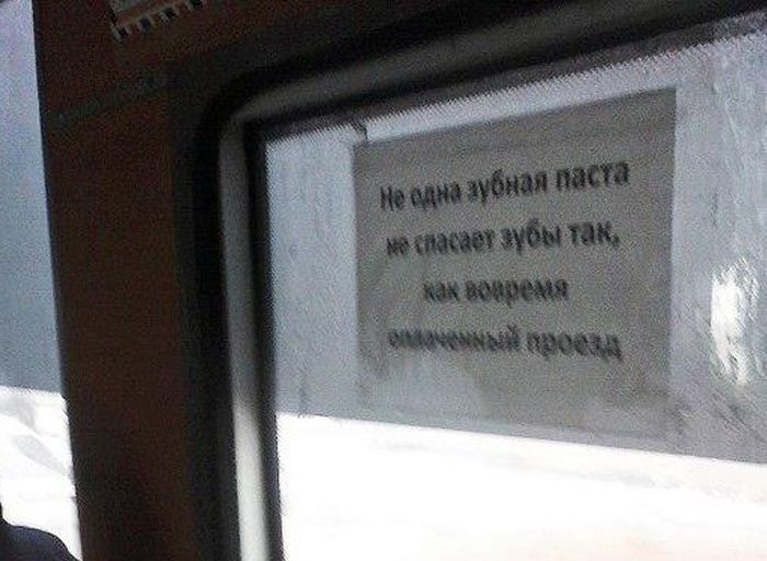 Такой общественный транспорт... (50 фото)