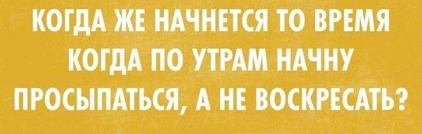 Прикольные картинки (75 фото)