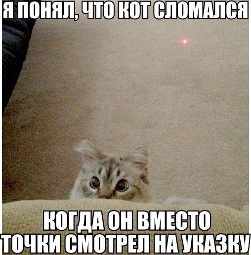Прикольные картинки (75 фото)
