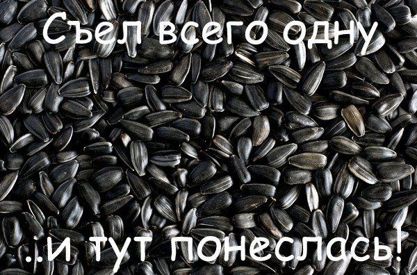 Прикольные картинки (75 фото)