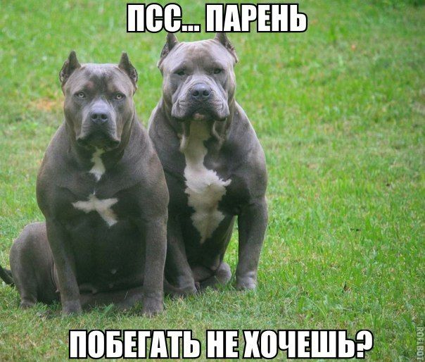 Прикольные картинки (75 фото)