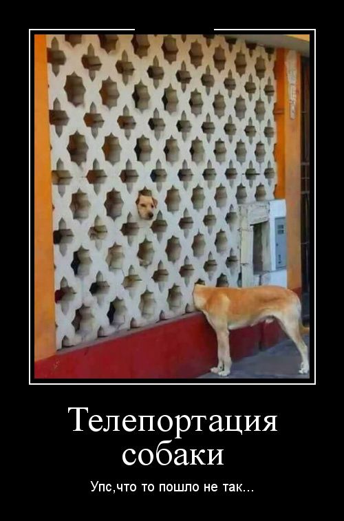 Демотиваторы