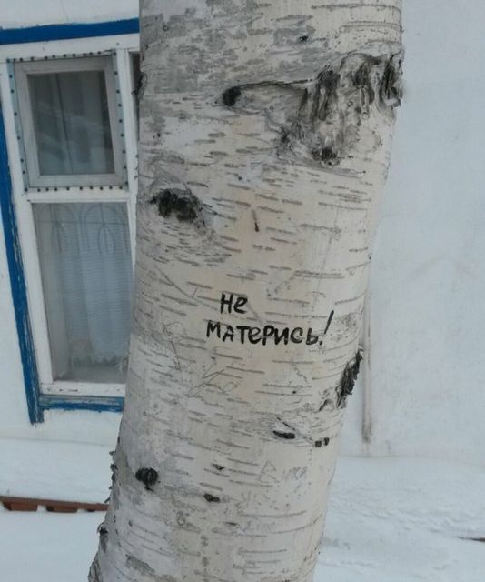 Приколы с наших просторов