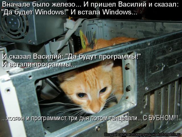 Лучшие котоматрицы недели