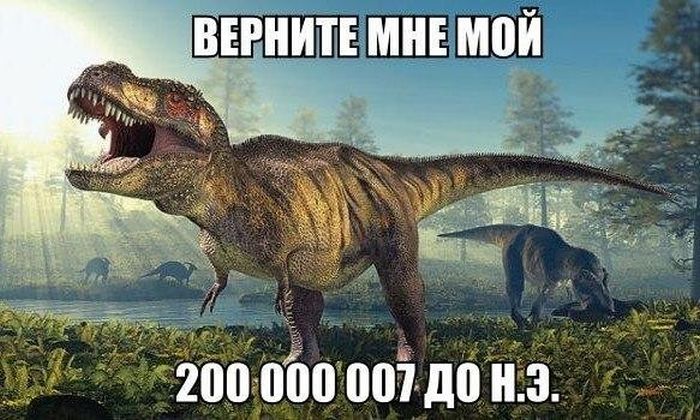Подборка легкого юмора