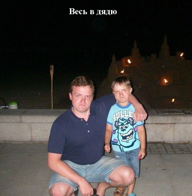 Порция картинок