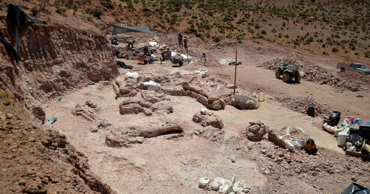В Патагонии найдены останки самого большого динозавра в истории В Патагонии найдены останки самого большого динозавра в истории